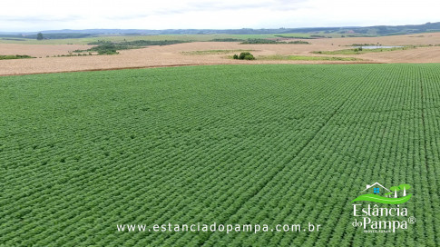 DOS EÓLICOS VIRA P FAZENDA_Moment.00_00_53_03.Quadro139_16736c893fca44eecf421f87518e3fec03d10709.jpg